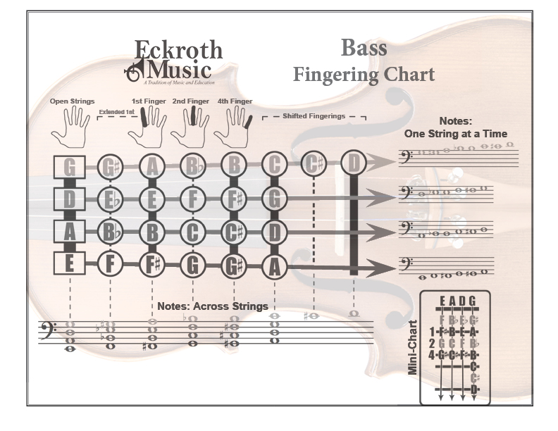 Bass Fingering Chart