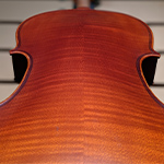 viola