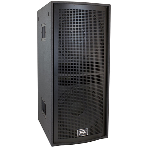 Eckroth Music - Peavey Qw 218 Speaker