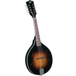 Rover Mandolin A Style Traditional Sunburst